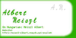 albert meiszl business card